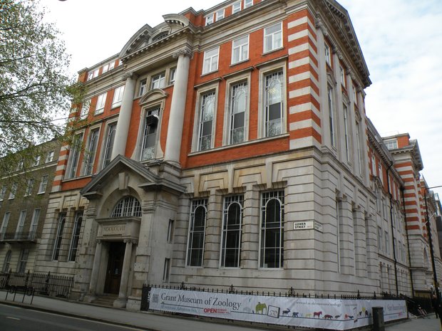  Grant Museum of Zoology, Gower street